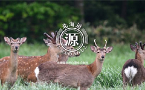 Webサイト制作事例