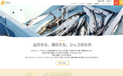 Webサイト制作事例