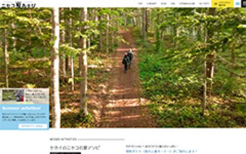 Webサイト制作事例