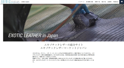 Webサイト制作事例